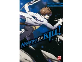 Akame ga KILL 11