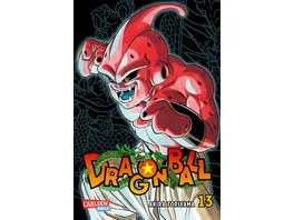 Dragon Ball Massiv 13