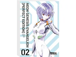 Neon Genesis Evangelion Perfect Edition 2