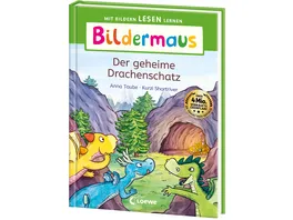 Bildermaus Der geheime Drachenschatz