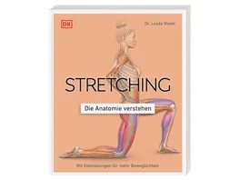 Stretching Die Anatomie verstehen