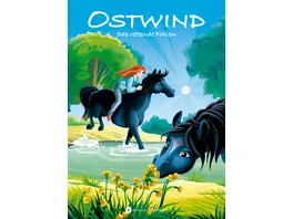 Ostwind Das rettende Fohlen