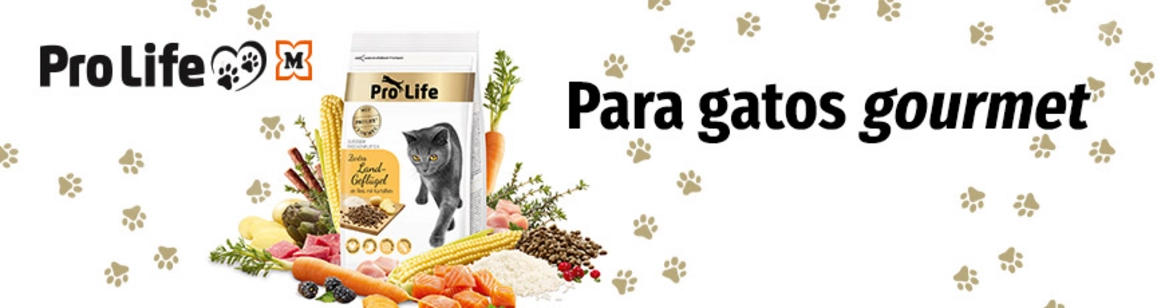 Pro Life Katze - Para gatos gourmet