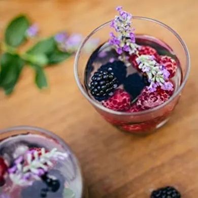 Shrub de lavanda-frutos rojos