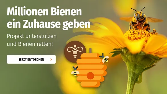 Ein Herz für Bienen