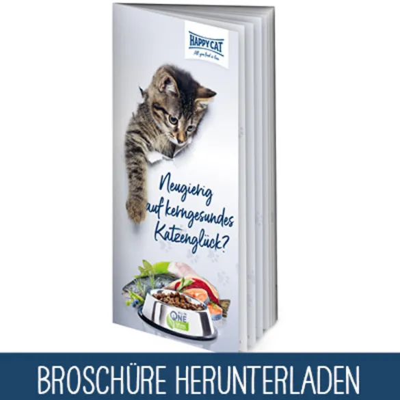 happy cat Broschüre