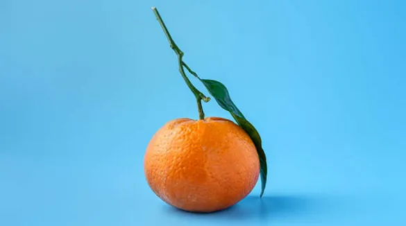 Mandarine-mit-Blatt-blauer-Hintergrund