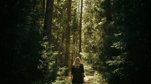 Wald-Weg-Rückenansicht-blonde-Frau-dunkles-Kleid