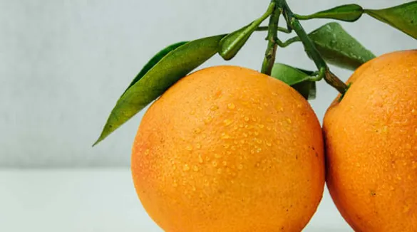 Mit dem Duft der Orange wird das eigene Zuhause zum Wellnessort