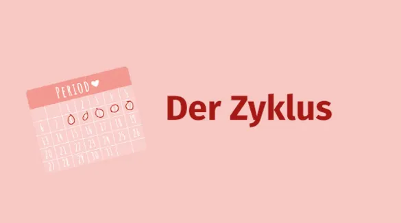 Der Zyklus