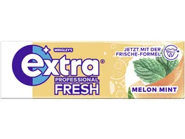 Wrigley s Extra Professional Fresh Melon Mint