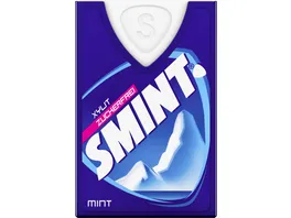 SMINT MINT