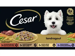 CESAR Schale Multipack Landragout 4 Varietaeten 8 x 150g