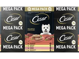 Cesar Hundenassfutter Klassik Terrine Mega Pack