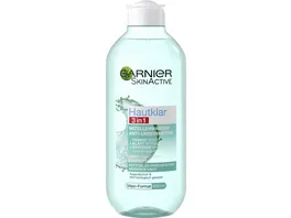 Garnier Skin Active Hautklar 3in1 Mizellenwasser