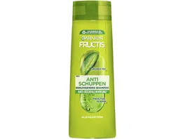 Garnier Fructis Shampoo Anti Schuppen Gruener Tee Zink Pyrition