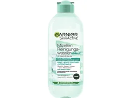 Garnier Skin Active Mizellen Reinigungswasser All in 1 mit Hyaluron Aloe Vera
