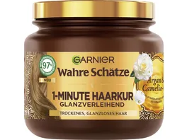Garnier Wahre Schaetze Haarkur Hair Remedy Argan Camelia