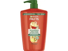 Garnier Fructis Shampoo Schadenloescher
