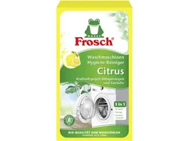 Frosch Citrus Waschmaschinen Hygiene Reiniger 250 g