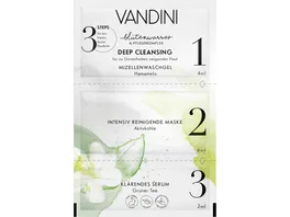 VANDINI DEEP CLEANSING Maske 3 Kammern Sachet