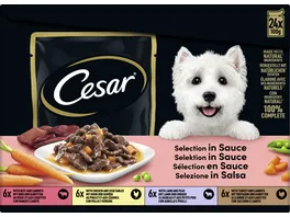 Cesar Hundenassfutter Selection in Sauce Multipack
