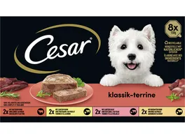 CESAR Schale Multipack Klassik Terrine 4 Varietaeten 8 x 150g