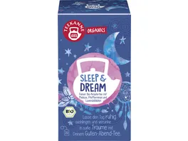 TEEKANNE BIO Organics Sleep Dream 20er