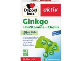 Doppelherz Ginkgo B Vitamine Cholin 40 Kapseln