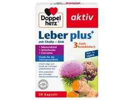 Doppelherz Leber plus 30 Stk