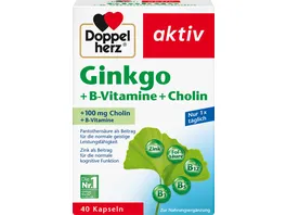 Doppelherz Ginkgo B Vitamine Cholin