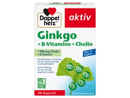 Doppelherz Ginkgo B Vitamine Cholin