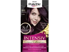 POLY PALETTE Intensiv Creme Coloration 880 4 99 Aubergine