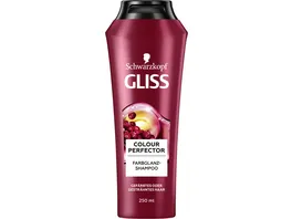 GLISS Shampoo Colour Perfector