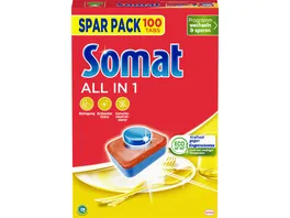 Somat Spar Pack All in 1 100 Stueck