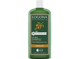 LOGONA Glanz Shampoo Bio Arganoel