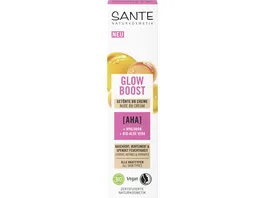 SANTE Face Natural Glow BB Cream