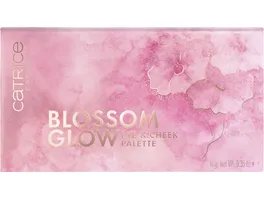 Catrice Blossom Glow Eye Cheek Palette