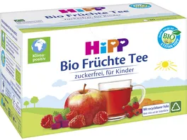 HIPP Teegetraenke Bio Tee im Aufgussbeutel Bio Fruechte Tee