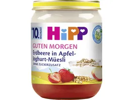 HiPP Bio Guten Morgen Erdbeere in Apfel Joghurt Mueesli