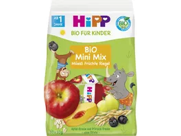 HiPP Bio fuer Kinder Mini Mix Muesli Fruechte Riegel