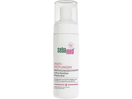 SM Anti Roetungen R schaum 150ml