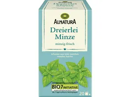 Alnatura Bio Minze Dreierlei Tee