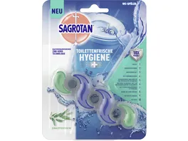 Sagrotan WC Spueler Toilettenfrische Hygiene Plus Eukalyptusfrische