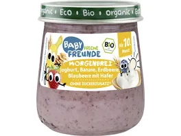 Freche Freunde Baby Bio Morgenbrei Joghurt Banane Erdbeere Blaubeere mit Hafer