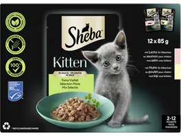 Sheba Kitten in Sauce Feine Vielfalt 12x85g