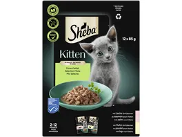 Sheba Kitten in Sauce Feine Vielfalt 12x85g