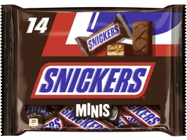 SNICKERS MINIS 275g