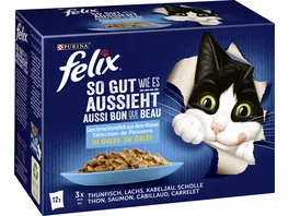 PURINA FELIX Katzennassfutter So gut wie es aussieht in Gelee Geschmacksvielfalt aus dem Wasser