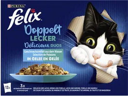 PURINA FELIX Katzennassfutter So gut wie es aussieht Doppelt Lecker in Gelee Geschmacksvielfalt aus dem Wasser